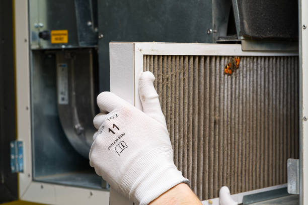 Best Affordable Duct Cleaning Services  in Shougal, WA