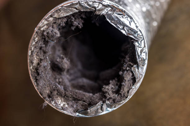 Best Air Vent Cleaning Services  in Shougal, WA